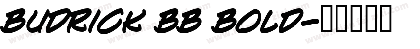Budrick BB Bold字体转换
